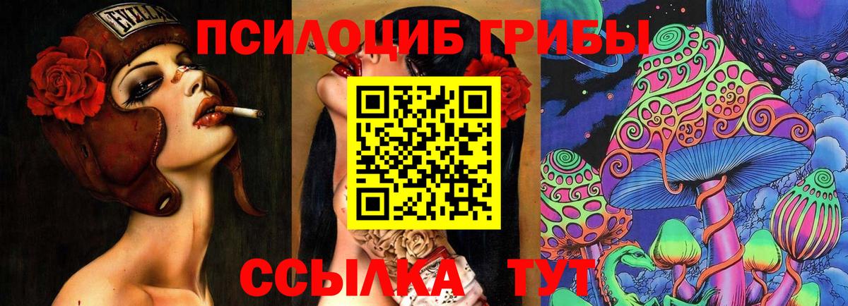 Галлюциногенные грибы MAGIC MUSHROOMS  Вход с VPN  Псилоцибиновые грибы Psilocybe  Тихвин 